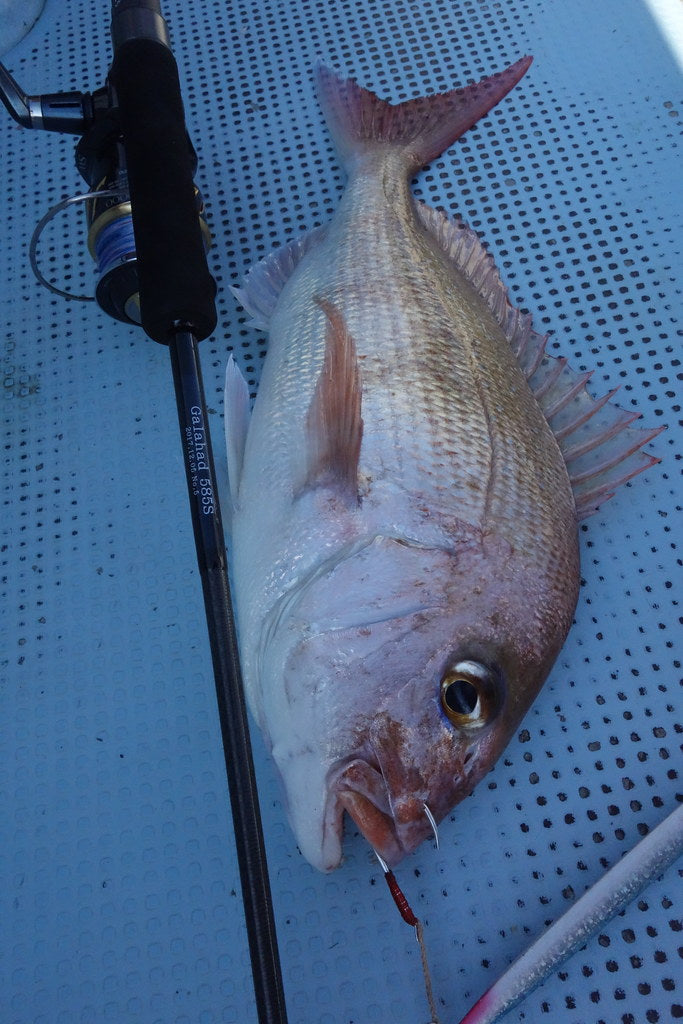 Yamaga Blanks - Galahad 585S Spinning Rod