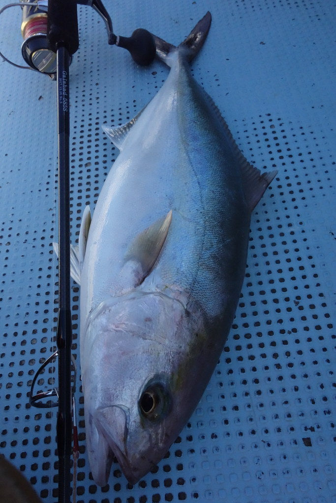 Yamaga Blanks - Galahad 585S Spinning Rod