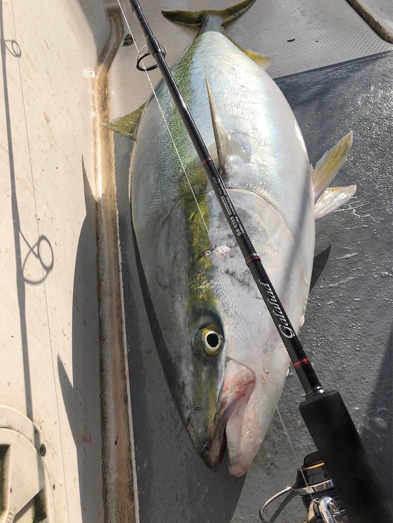 Yamaga Blanks - Galahad 633S Spinning Rod