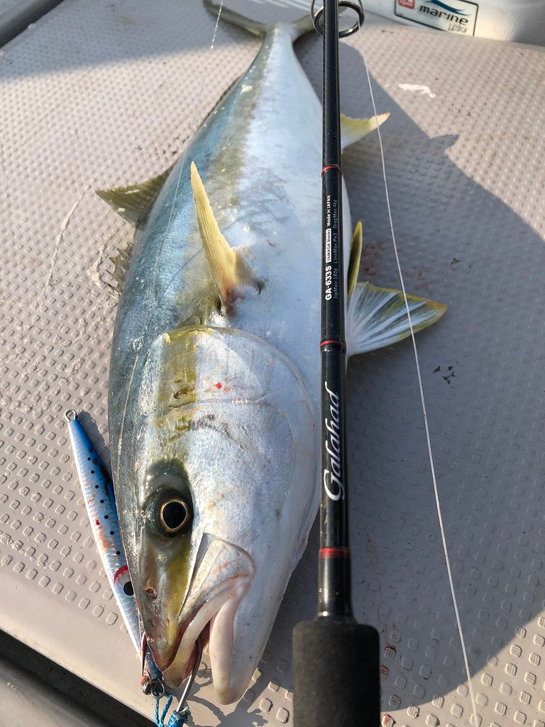 Yamaga Blanks - Galahad 633S Spinning Rod