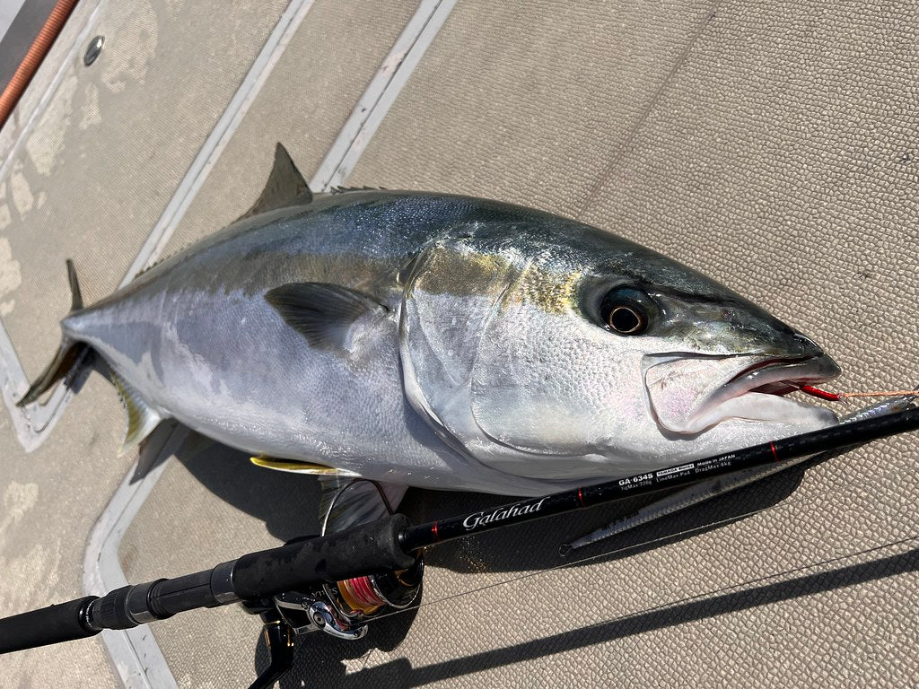 Yamaga Blanks - Galahad 634S Spinning Rod