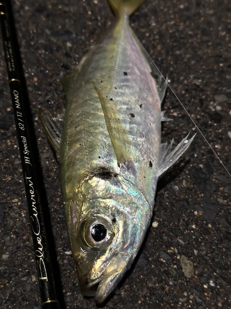 Yamaga Blanks - Blue Current 67TZ NANO Ajing Rod