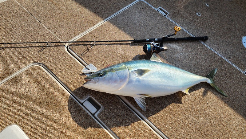 Zenaq - FOKEETO FS60-J7 IKARI Spinning Rod