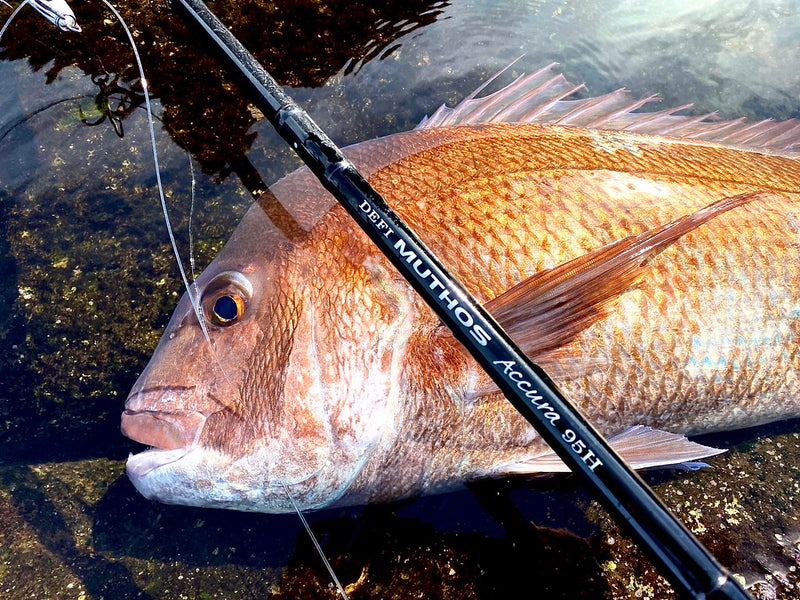Zenaq - Muthos Accura 95H Type R Topwater Rod