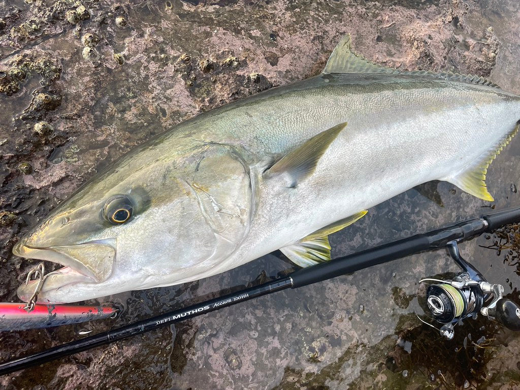 Zenaq Muthos Accura 100HH Type R Jigging Rod | Heavy Power | NZ
