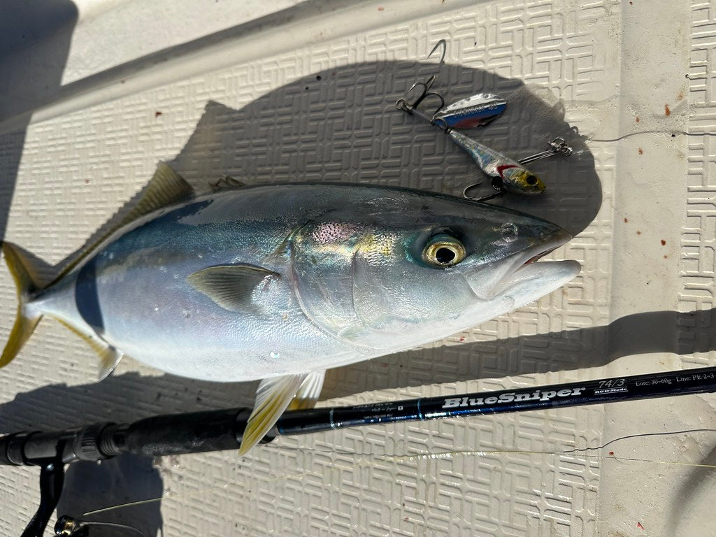 Yamaga Blanks - BlueSniper 74/3 RGD-MODE Boat Topwater Rod