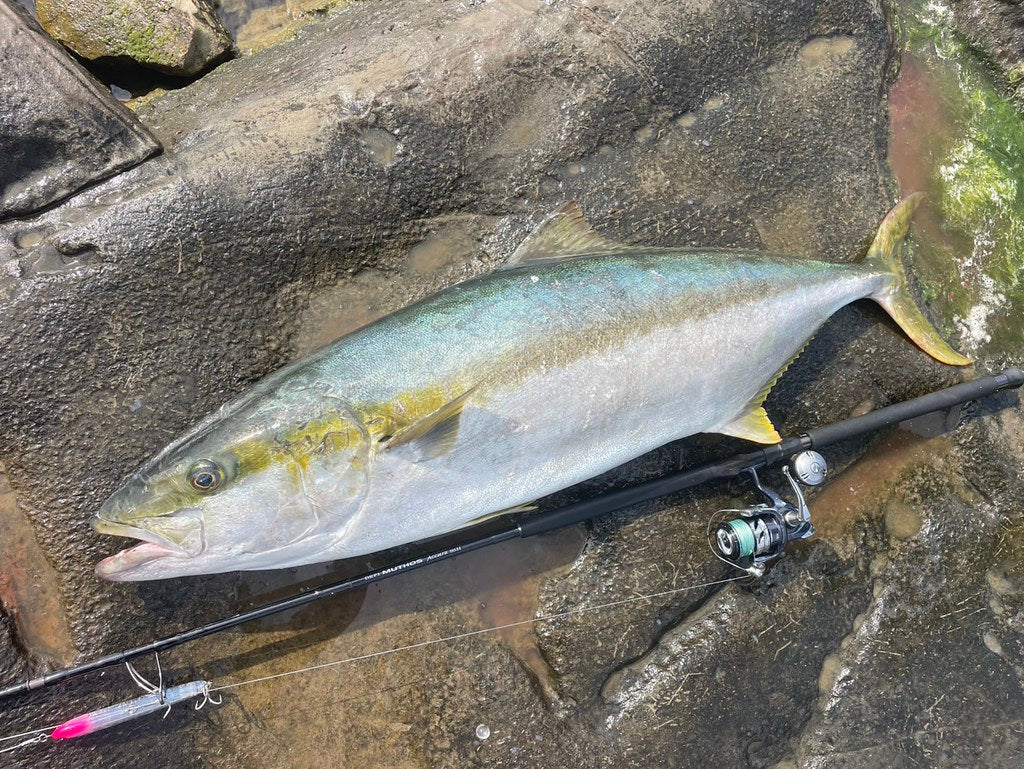 Zenaq - Muthos Accura 95H Type R Topwater Rod