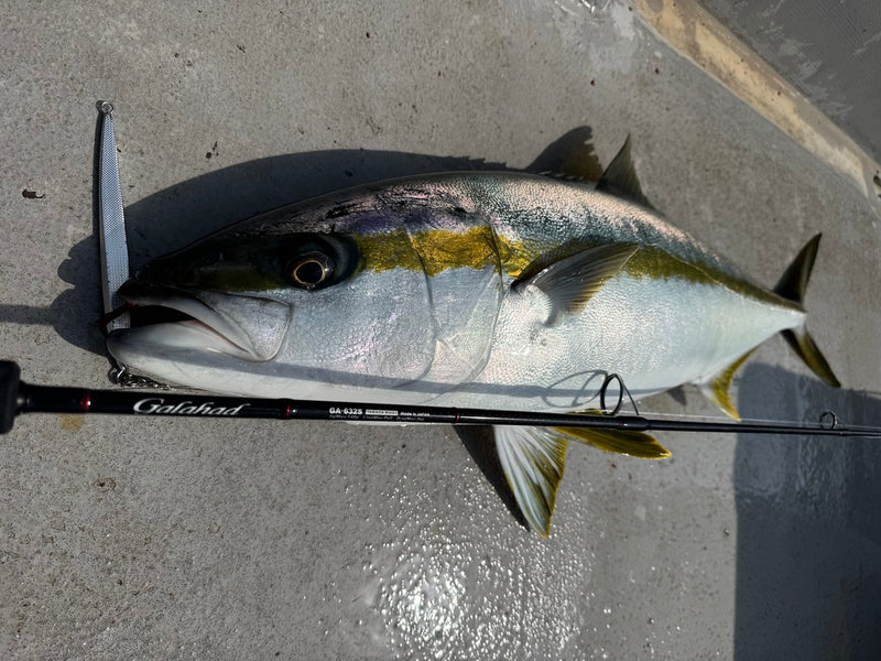 Yamaga Blanks - Galahad 632S Spinning Rod