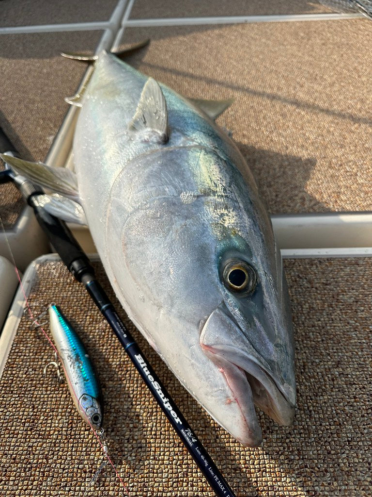 Yamaga Blanks - BlueSniper 76/4 RGD-MODE Boat Topwater Rod