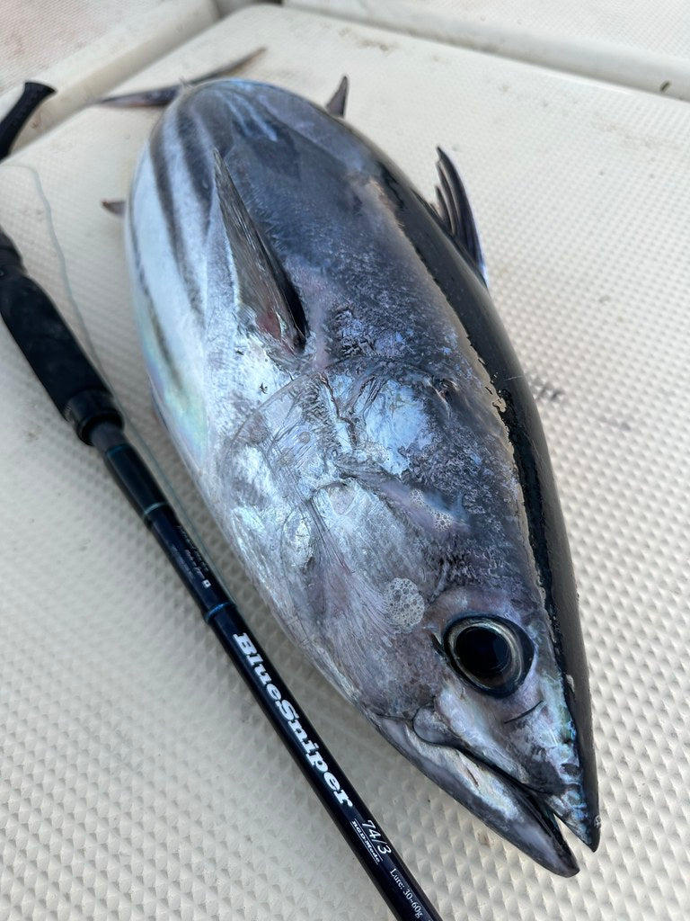 Yamaga Blanks - BlueSniper 74/3 RGD-MODE Boat Topwater Rod