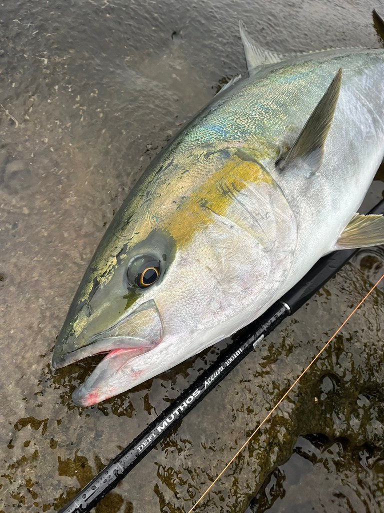 Zenaq - Muthos Accura 100HH Type R Topwater Rod