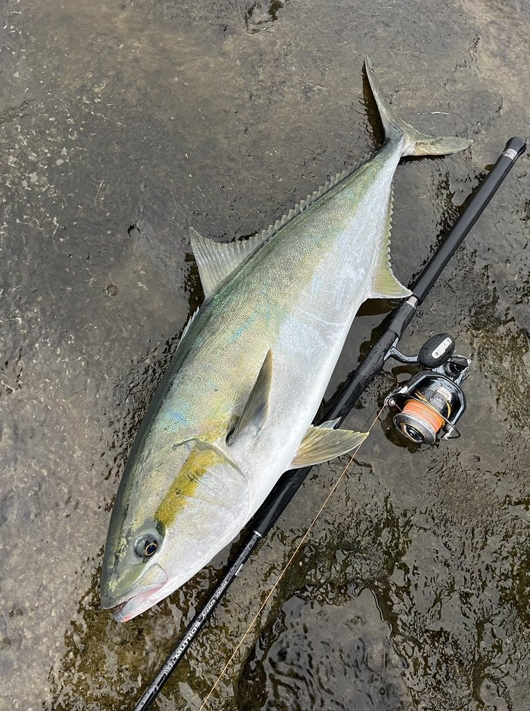 Zenaq - Muthos Accura 100HH Type R Topwater Rod