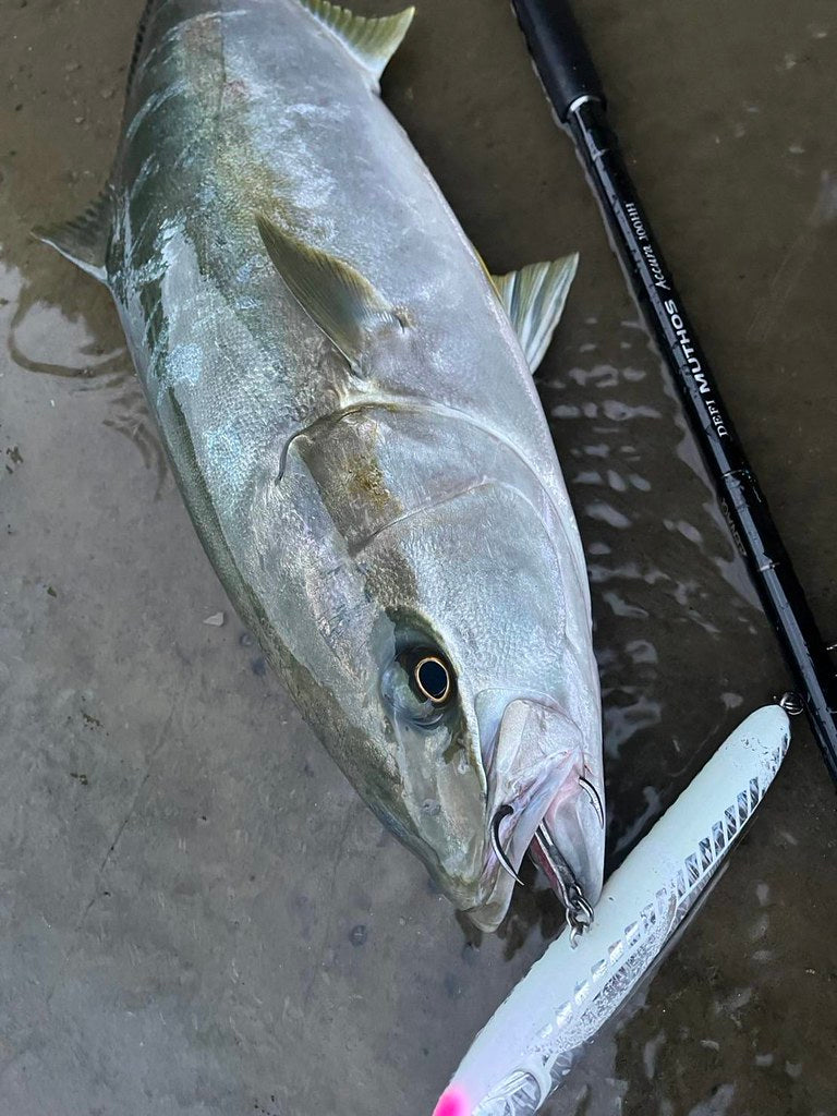 Zenaq - Muthos Accura 100HH Type R Topwater Rod
