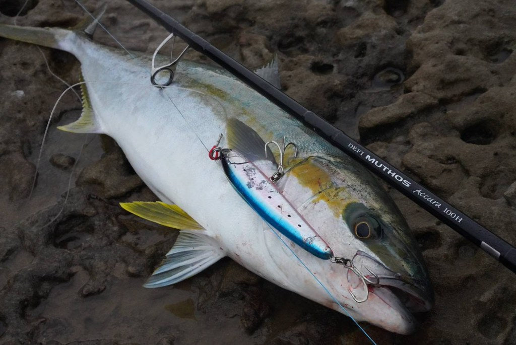 Zenaq Muthos Accura 100H Type R Jigging Rod | Premium Japanese