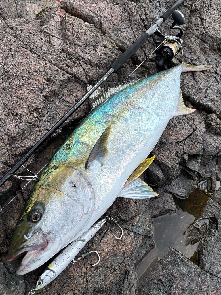Zenaq - Muthos Accura 95H Type R Topwater Rod