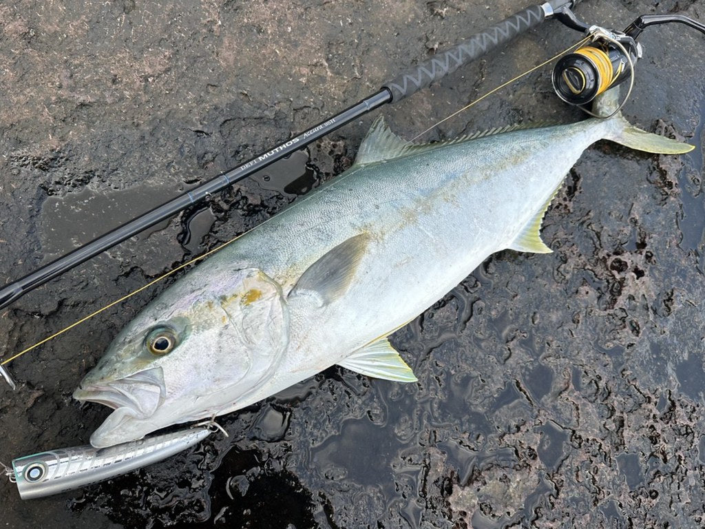 Zenaq - Muthos Accura 95H Ocean Topwater Rod