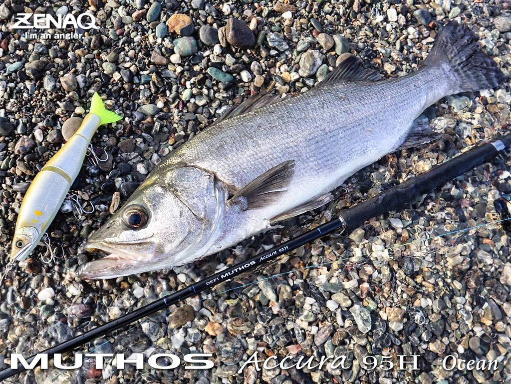 Zenaq Muthos Accura 95H Ocean Jigging Rod | Offshore Fishing | NZ