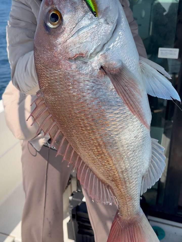 Real Fisher - Ajigo Slow