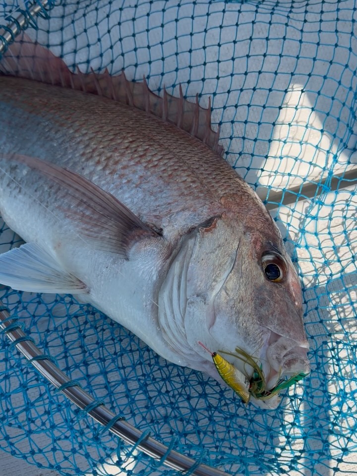 Real Fisher - Ebi Raba