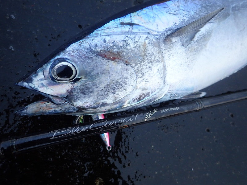 Yamaga Blanks - Blue Current 86All-Range TZ/Nano Elite Spinning Rod