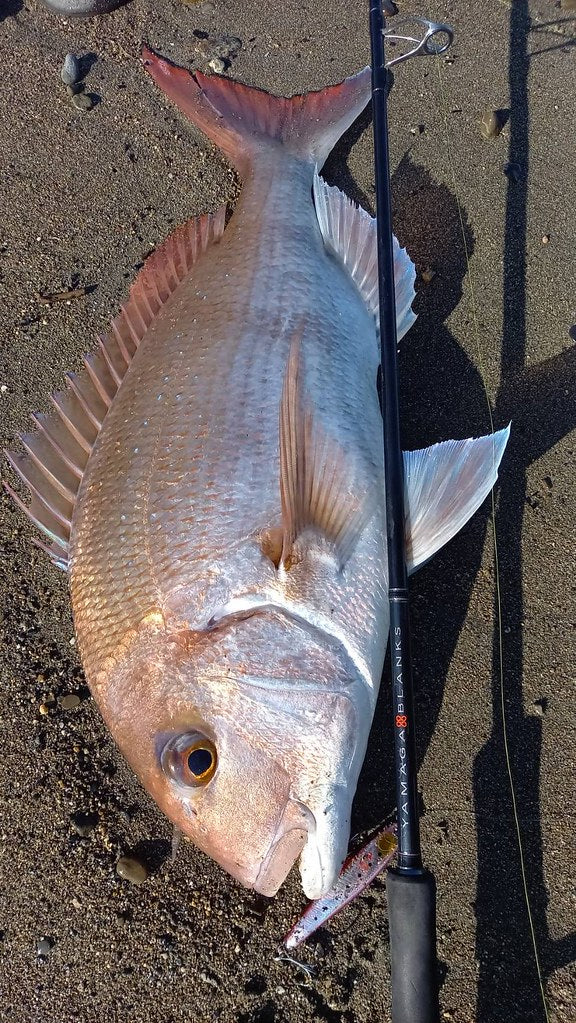 Yamaga Blanks - 88 CHAIN – Monster Fishing