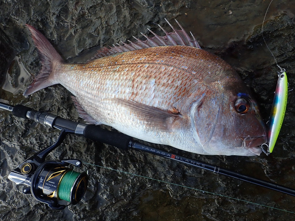 Yamaga Blanks - 88 CHAIN – Monster Fishing