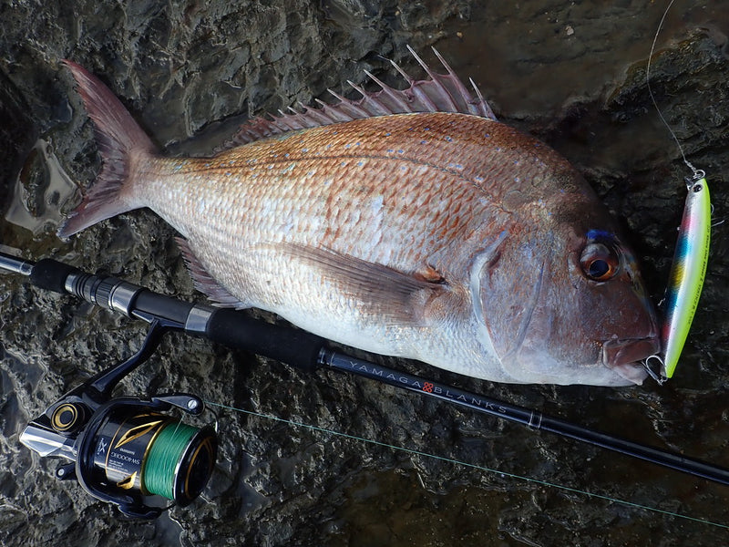 Yamaga Blanks - 88 CHAIN Spinning Rod