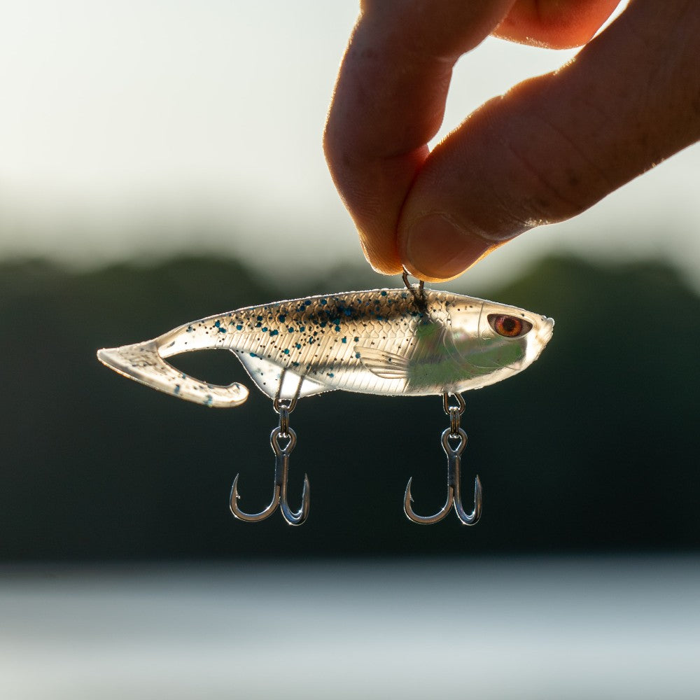 Chasebaits - Curly Vibe