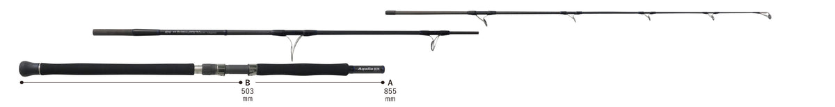 Ripple Fisher - Aquila EX 83-6