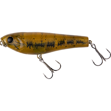 Ghost Green Shad