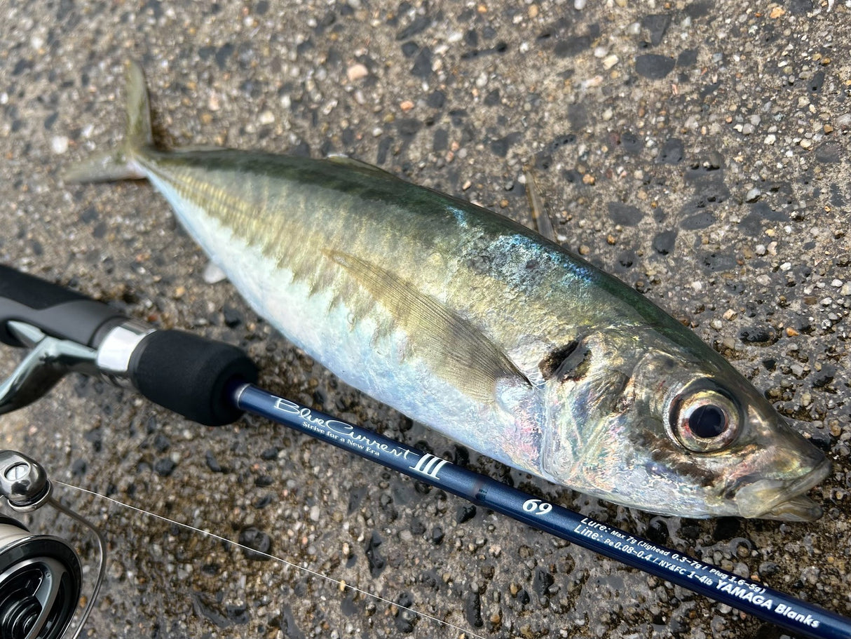 Yamaga Blanks - Blue Current III 69