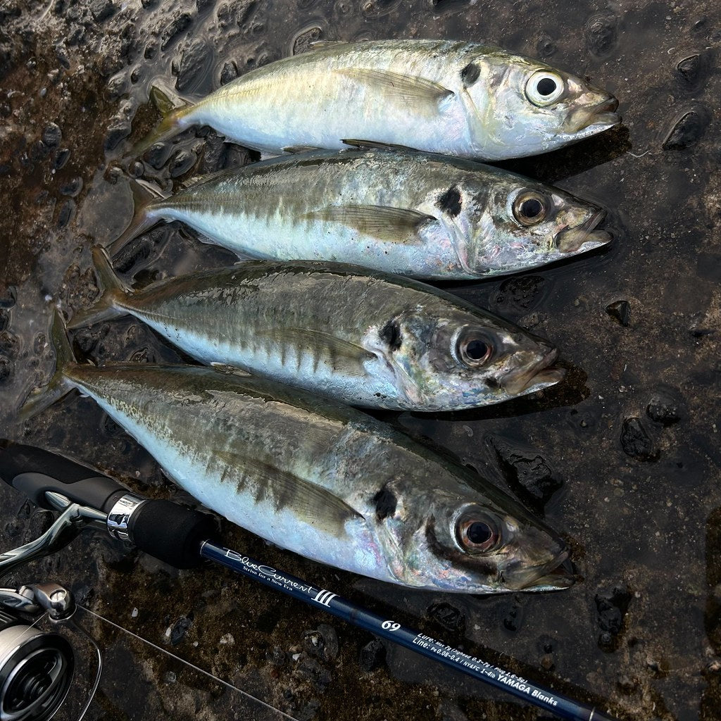 Yamaga Blanks - Blue Current III 69