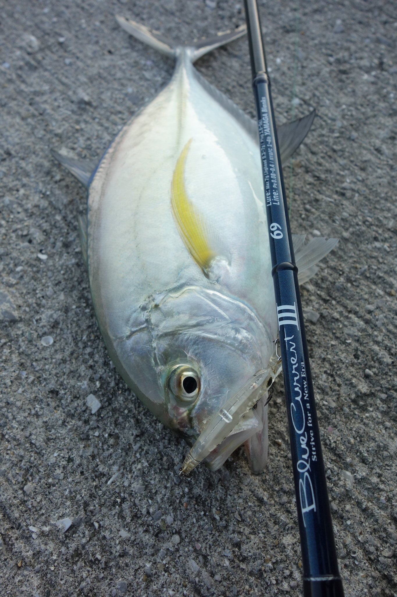 Yamaga Blanks - Blue Current III 69 – Monster Fishing