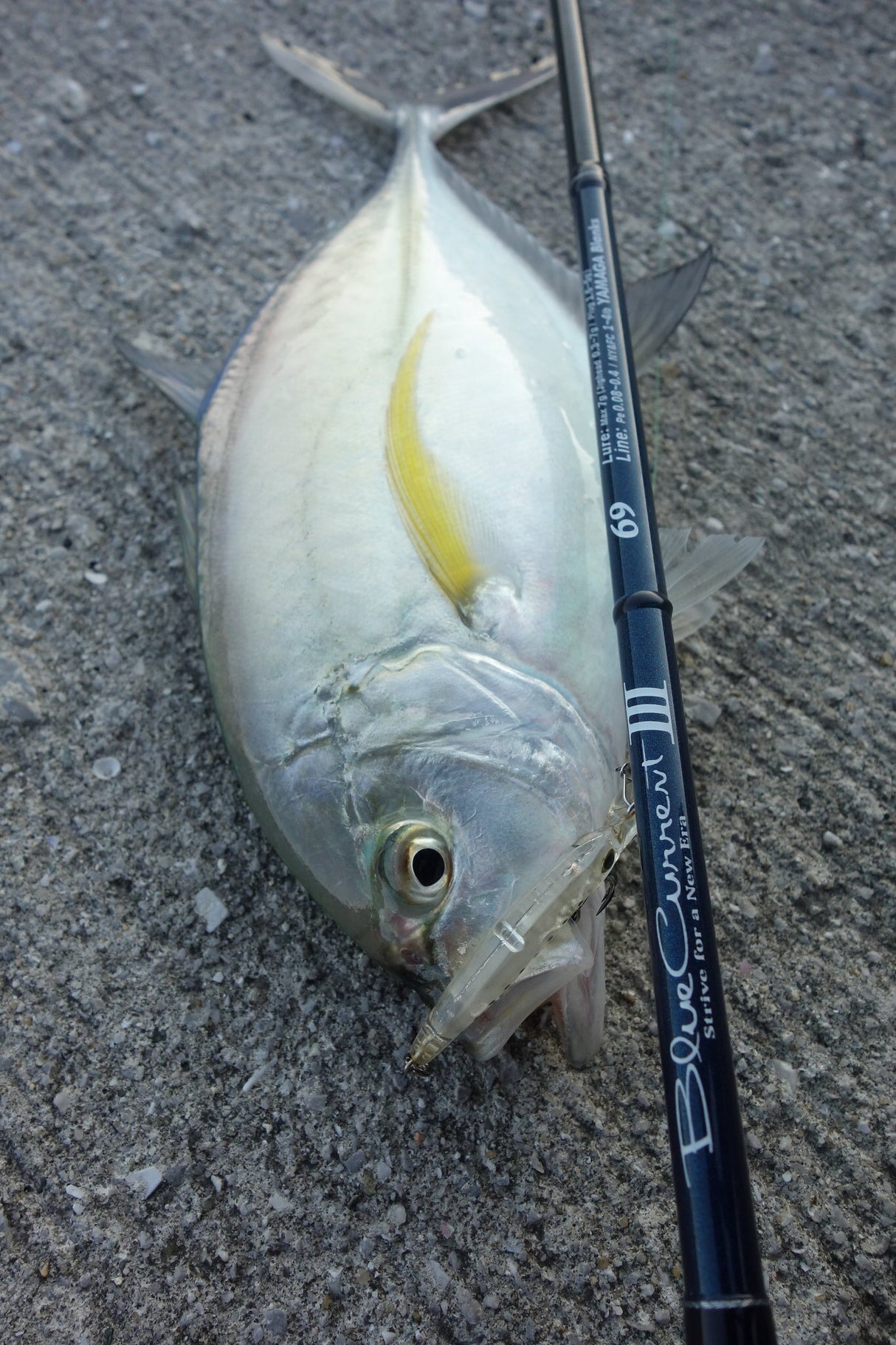 Yamaga Blanks - Blue Current III 69