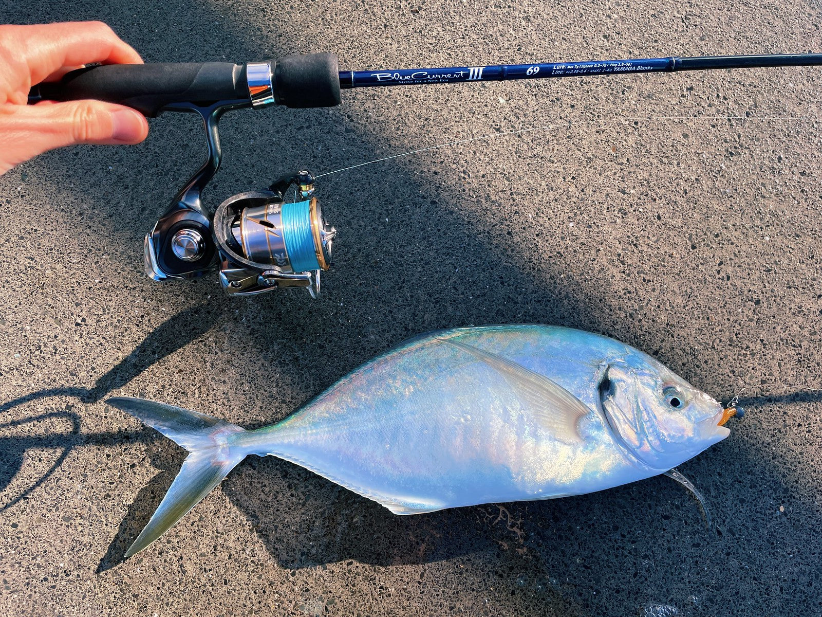 Yamaga Blanks - Blue Current III 69 – Monster Fishing