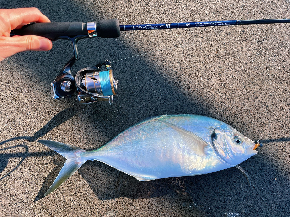 Yamaga Blanks - Blue Current III 69