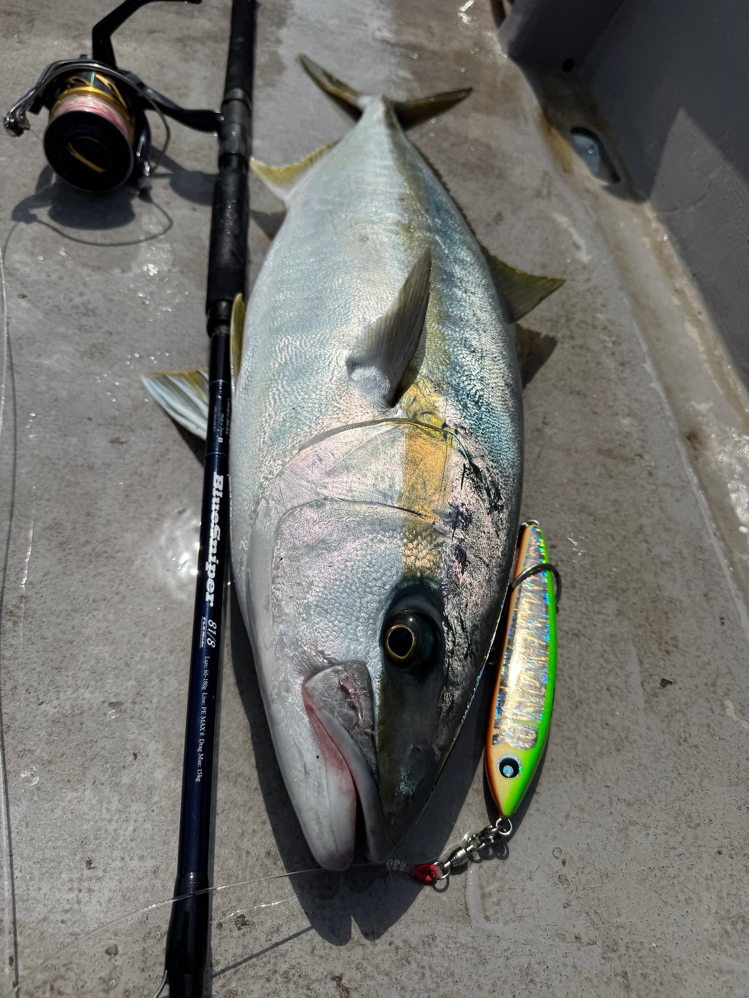 Yamaga Blanks Blue Sniper 81/8 FLX Kingfish Rod NZ | 60-180g PE8