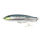 #7 Sardine