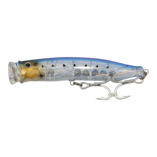 #19 Clear Sardine