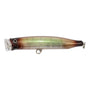 Tackle House - Contact Feed Popper 175
