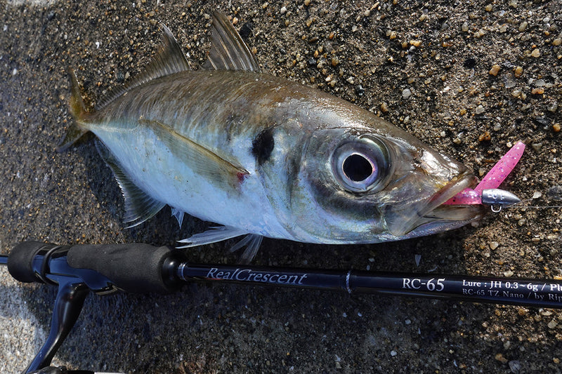 Ripple Fisher - RealCrescent RC65S Light Game Rod