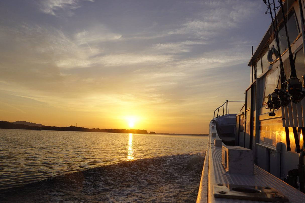 Zenaq - Fokeeto FC73-3 Twitch