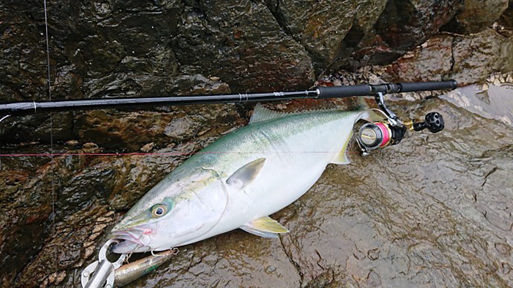 Ripple Fisher - RunnerExceed 911MH Nano Topwater Rod