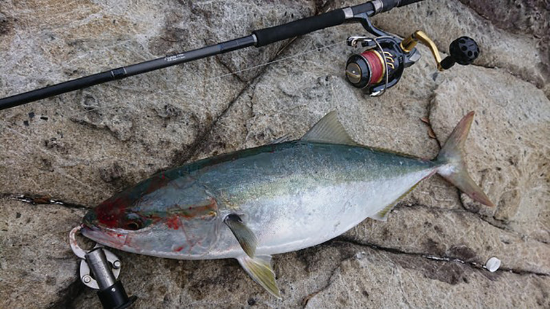 Ripple Fisher - MonsterImpact 110HH Spinning Rod