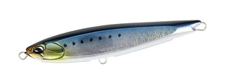 Scale Sardine