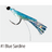 Blue Sardine