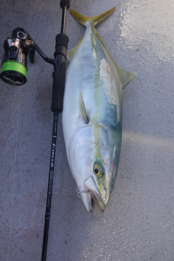Yamaga Blanks Early Boat 68M Light Boat Rod NZ | 7-32g PE 0.8-1.5