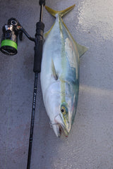 Yamaga Blanks - Early Boat 68M