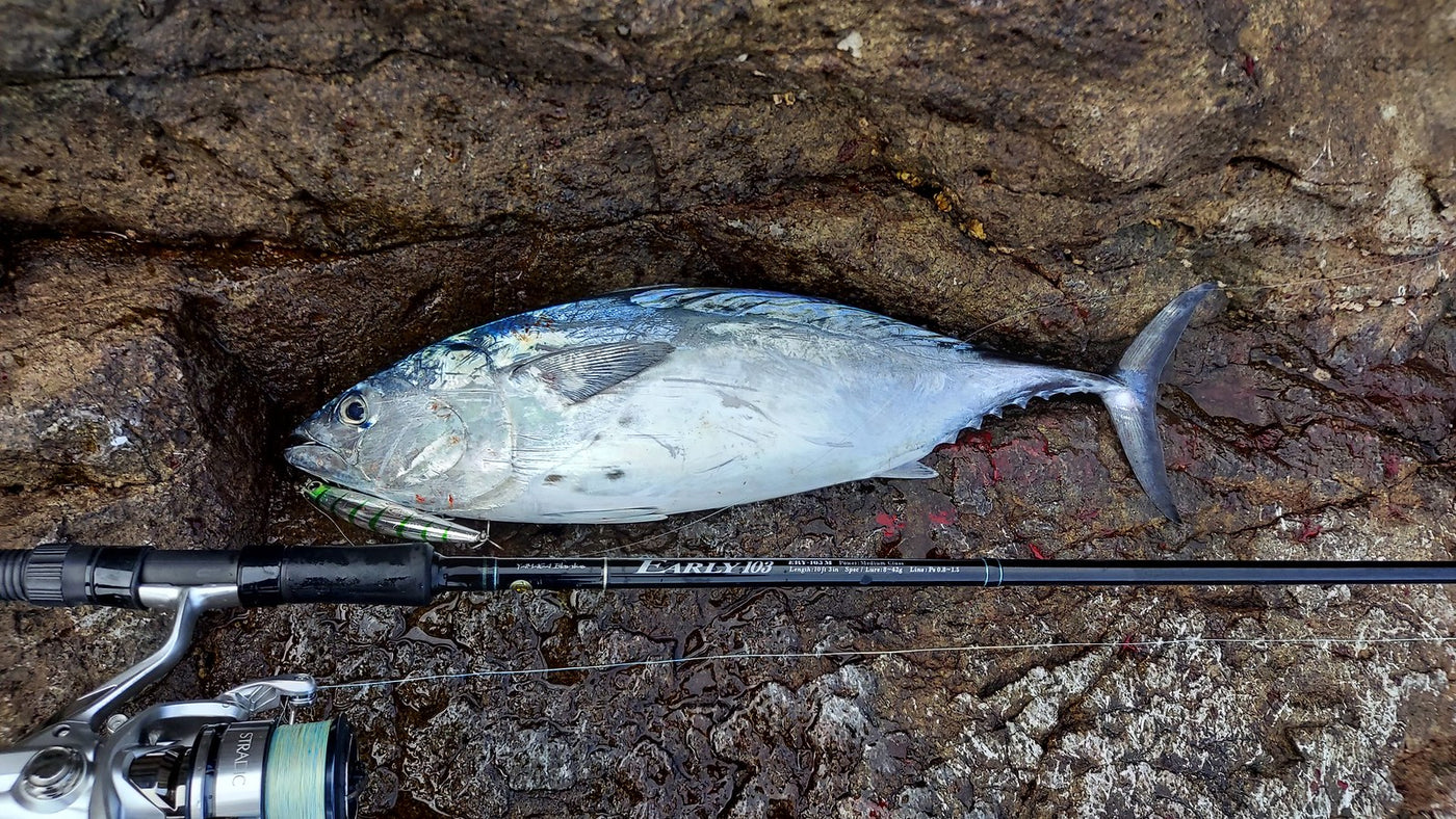 Yamaga Blanks - Early Surf 103M Spinning Rod