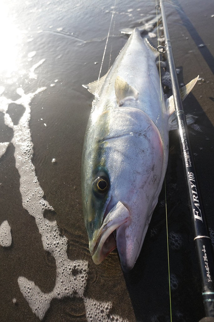 Yamaga Blanks - Early Surf 105MH Spinning Rod